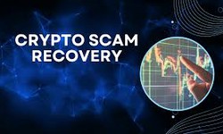 Navigating the Maze: A Guide to Recovering from Crypto Scams