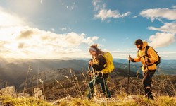 Essential Gear for a Successful Hiking Adventure