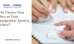 Why Choose Visa Vibes as Your Immigration Agent in Sydney?
