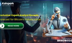 Exclusive: Expert Analyst Reveals Forecast for Bitcoin's Future Value