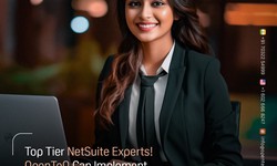Elevating Business Efficiency: The Role of a OpenTeQ NetSuite Services Company
