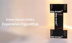 Know About India's Expensive Cigarette: Trost's Premium Hemp Rollen