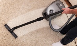 Expert Insights: How Often Should You Clean Your Carpets in Northcote?