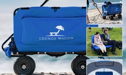 Top Reasons to Own a Beach Buggy Cart