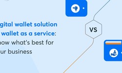 Digital wallet solution Vs Wallet-as-a-Service – Which fits your business the best?