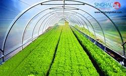 Seeing Green: Maximizing Efficiency with High-Quality Greenhouse Films