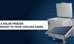 How Modern Solar Freezers Allow Chill Out of Scorching Summer in 2024