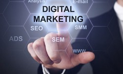 Maximizing Online Reach: Digital Marketing Success in Noida