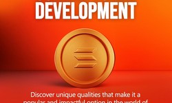 How to start your solana meme coin development company ?