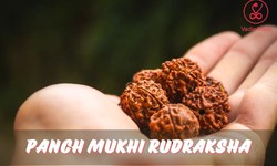 Panch Mukhi Rudraksha: A Powerful Tool for Meditation
