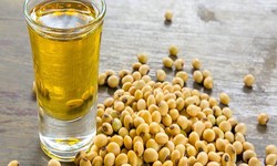 Soybean Oil Prices Monitoring, Analysis, News, Trends & Forecast | ChemAnalyst