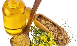 Mustard Oil Prices Analysis, Tracking, Updates, Trends & Forecast | ChemAnalyst