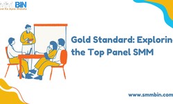 Gold Standard: Exploring the Top Panel SMM