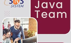 🚀 Unlock the Power of Java Development with SNS System! 🚀