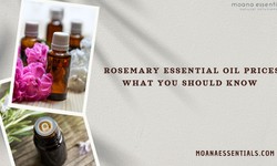 How to Navigate Rosemary Essential Oil Prices for Quality and Affordability