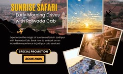 Sunrise Safari: Early Morning Drives with Rajwada Cab