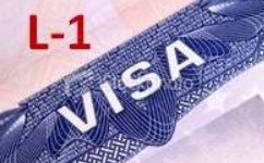L1 Visa to Green Card – Understand These Facts