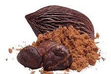 Chocolate Powder Manufacturing Plant Report 2024: Requirements and Cost Involved