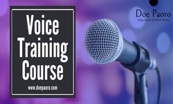 Unleashing the Power of Your Voice: A Journey through Voice Training Courses
