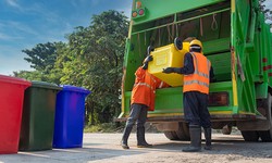 Why Skip Bin Hire Silkstone Makes Waste Removal A Breeze