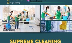 Plush Perfection: Supreme Mattress Cleaning Services