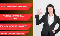 Master Your Exams with These Proven Dumps Sites