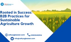 Rooted in Success: B2B Practices for Sustainable Agriculture Growth