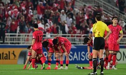 “Shin Tae-yong’s name echoed in the stadium, Korea became a victim of Indonesia” AFC also lights