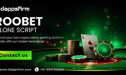 Start Your Online Casino Business the Right Way with Our Roobet Clone Script - Secure, Scalable, and Profitable!