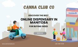 Discover the Best Online Dispensary in Manitoba for Buying Weed