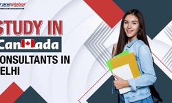 Embark on Your Canadian Academic Journey with Transglobal Overseas Study in Canada  Consultants in Delhi