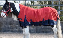 Weather the Storm: How Waterproof Horse Rugs Keep Your Equine Companion Cozy