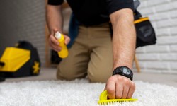 Consider Various Checklists of Carpet Cleaning Services in Kendall