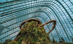 Explore 10 Places to Visit in Singapore Honeymoon Package