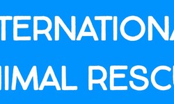 Get the most recent updates on International Animal Rescue
