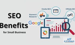 Unveiling the Vitality of SEO Packages for Small Businesses