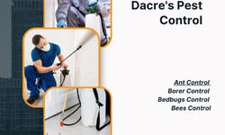 Immediate Pest Relief: Dacres Same Day Service