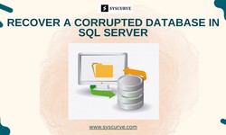 How to Recover a Corrupted Database in SQL Server?