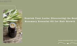 Understanding the Role of Rosemary Essential Oil in Hair Care and Growth