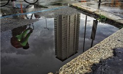 Swift Solutions: Water Damage Repair in Brooklyn Park Made Easy