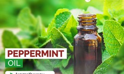 The World of Peppermint Oil Manufacturers: Harnessing Nature's Essence
