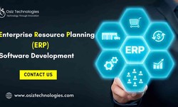 Efficiency Unleashed: Elevate Your Business with Osiz's ERP Development