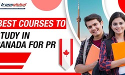 Best Courses to Study in Canada for PR