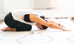 Demystifying the 200-Hour Certified Yoga Instructor: Your Pathway to Wellness