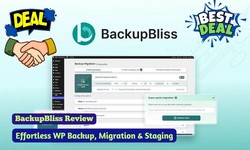 BackupBliss Review | Easy WP Backup & Migration | Lifetime Deal