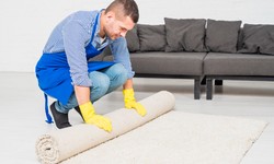 Eco-Friendly Carpet Cleaning Solutions for Sustainable Living in Nunawading