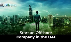 Guide to Starting an Offshore Company in the UAE
