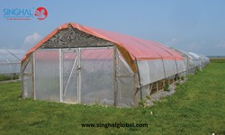 Improving Food Security with Greenhouse Film: Advantages for Small-Scale and Commercial Farmers