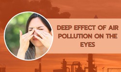 Deep Effect of Air Pollution on the Eyes