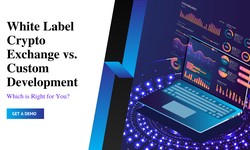 White Label Crypto Exchange vs. Custom Development: Which is Right for You?